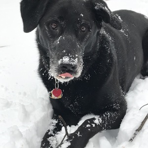 Fundraising Page: Orie Graham